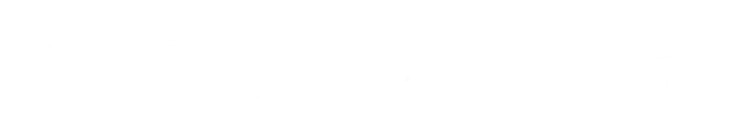 logo-white_68bf98e8-f1b4-4d72-b96e-ba7a81f7ba7a_720x.png